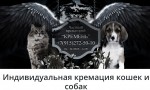 Частный крематорий для домашних животных в Москве "Кремень".