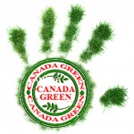 Газонная трава - Канада Грин.
