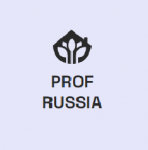 Профессионалы России