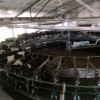 Молочная ферма на 1900 голов