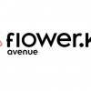 Интернет-магазин flower